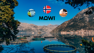 Abbildung einer Fischzucht mit Bergen im Hintergrund. Über den Bergen ist das Logo von Mowi ASA sowie die Fischzucht, die Zubereitung von Lachs und die norwegische Flagge dargestellt.