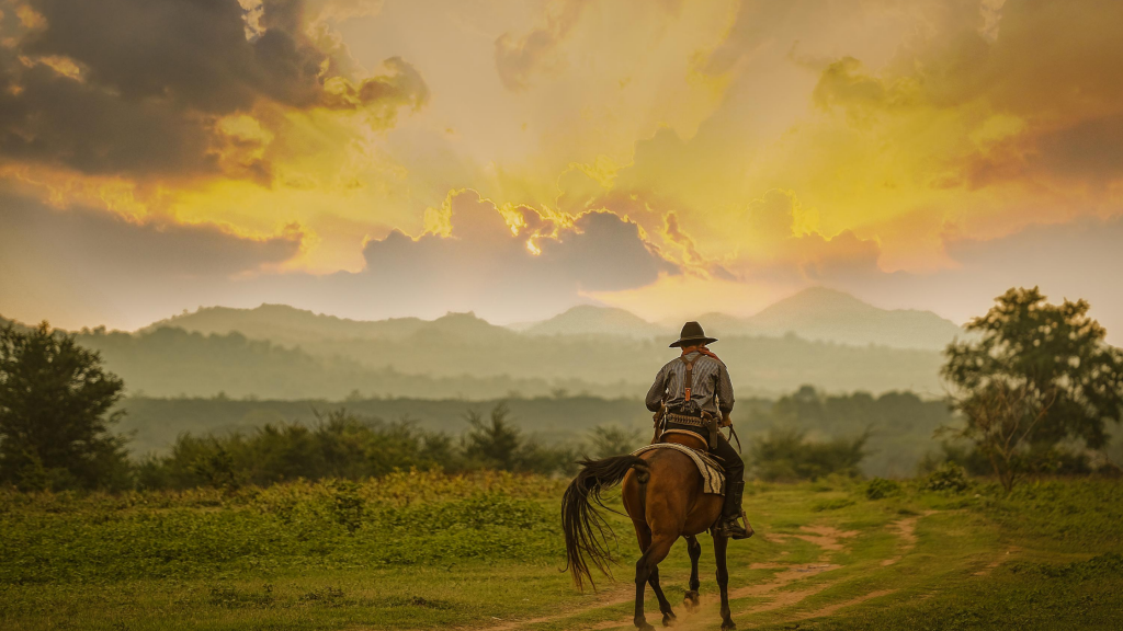 Cowboy reitet weg in den Sonnenuntergang 